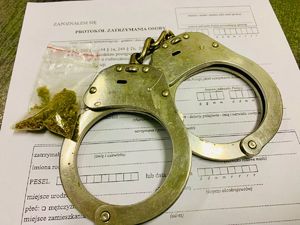 woreczek z zawartością zielonego suszu