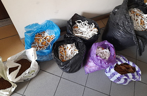 Zabezpieczona krajanka i liście