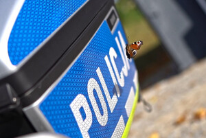 Motyl przelatujący obok motocykla