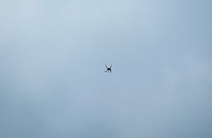 Widok drona na niebie