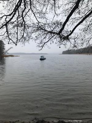 służby podczas poszukiwań