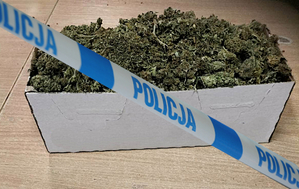 Zabezpieczone narkotyki