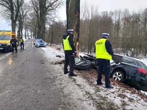 Zdarzenie drogowe na trasie Trygort-Przystań
