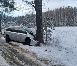 rozbity pojazd, który uderzył w drzewo