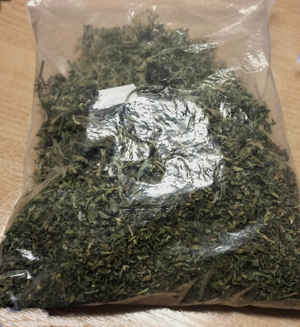 Zabezpieczone narkotyki