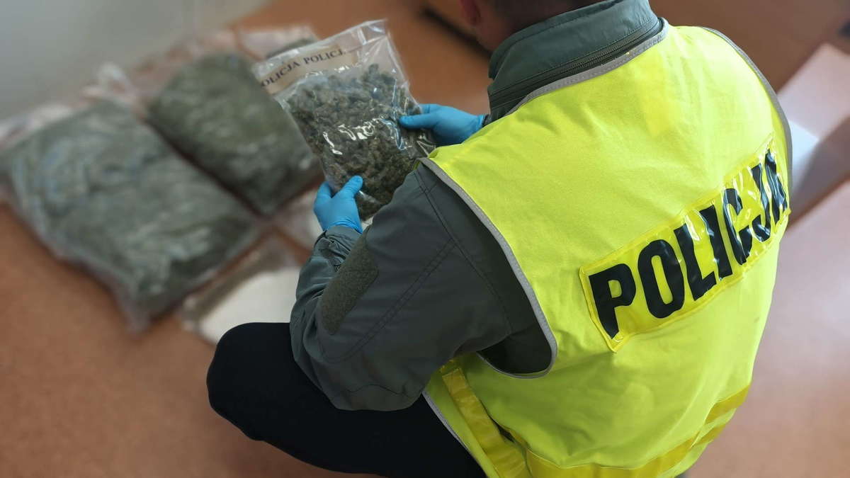 zabezpieczone narkotyki