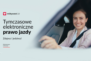 Infografika ministerstwa cyfryzacji