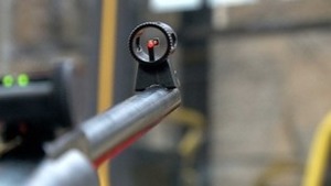 Muszka na lufie wiatrówki