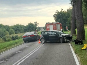 samochód który wjechał w drzewo