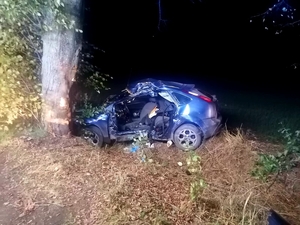 rozbity pojazd, który uderzył w drzewo