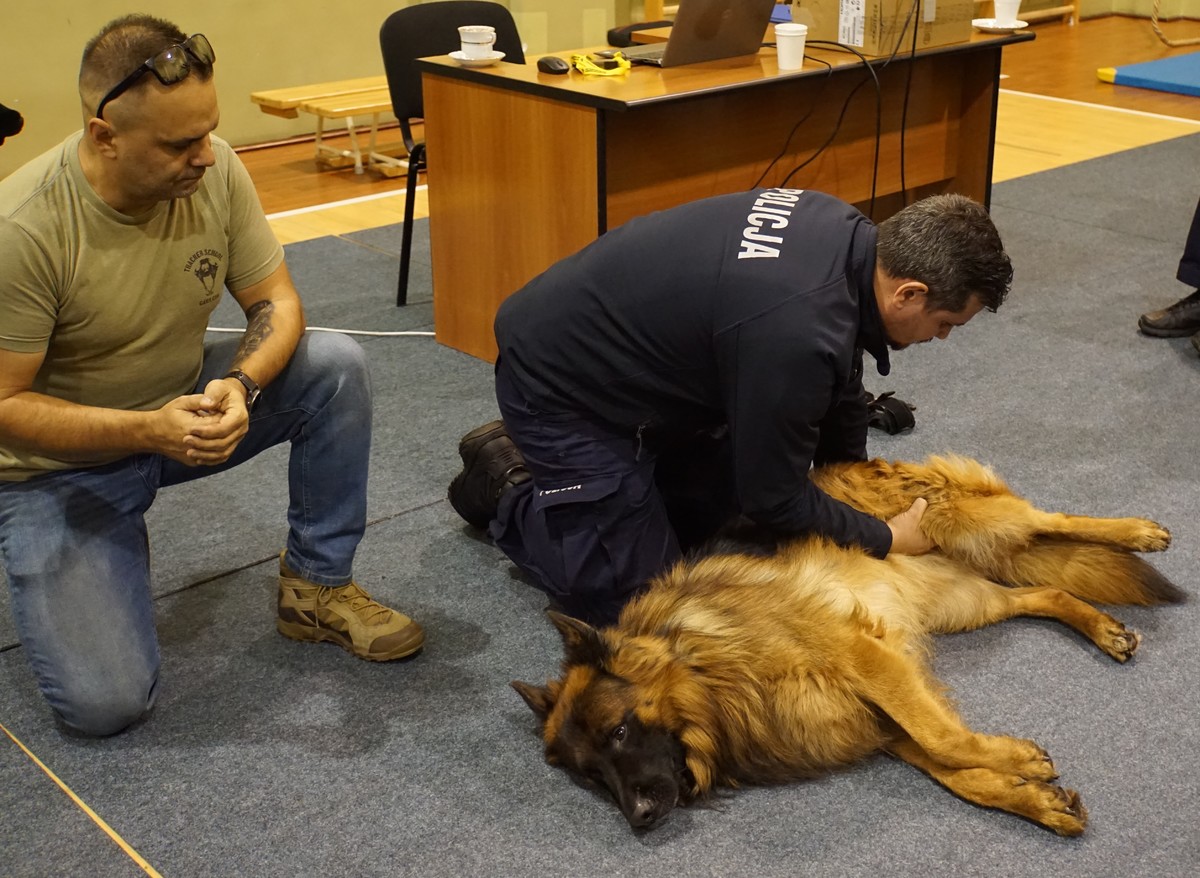 Pierwsza pomoc psu służbowemu w nagłych wypadkach