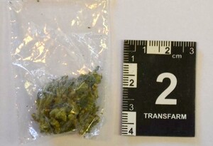 Zabezpieczona marihuana