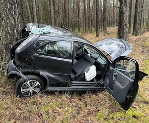 oplem uderzył w drzewo