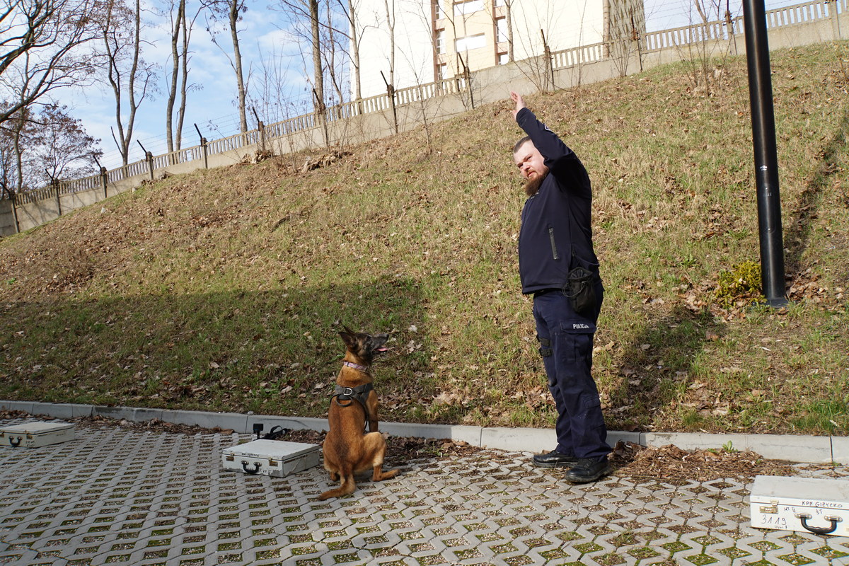 Szkolenie przewodników i psów służb mundurowych