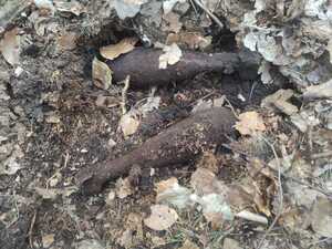 Niewybuch znaleziony w lesie