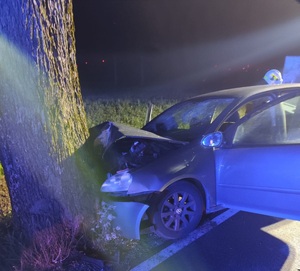 Pojazdy uczestniczące w zdarzeniu