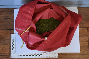 zabezpieczone narkotyki