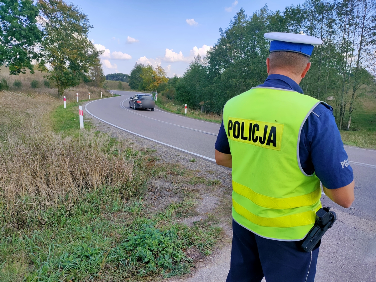 Zdjęcie przedstawia policjanta na drodze.