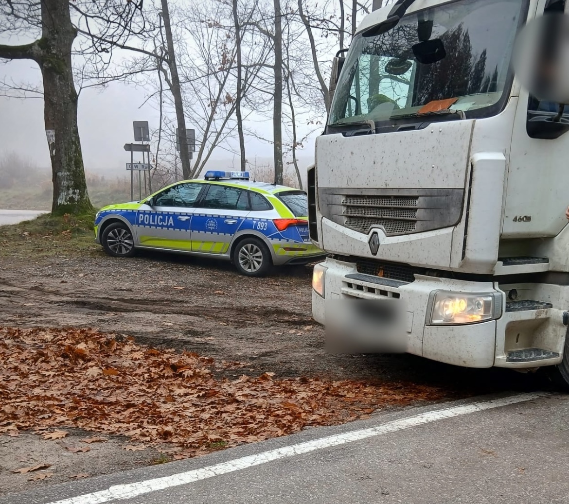 Działania &quot;Bezpieczny kierowca ciężarówki&quot;