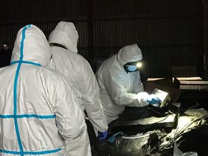 Laboranci na miejscu pracy przy zabezpieczonych pojemnikach