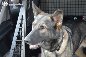 Źródło: KAS Olsztyn