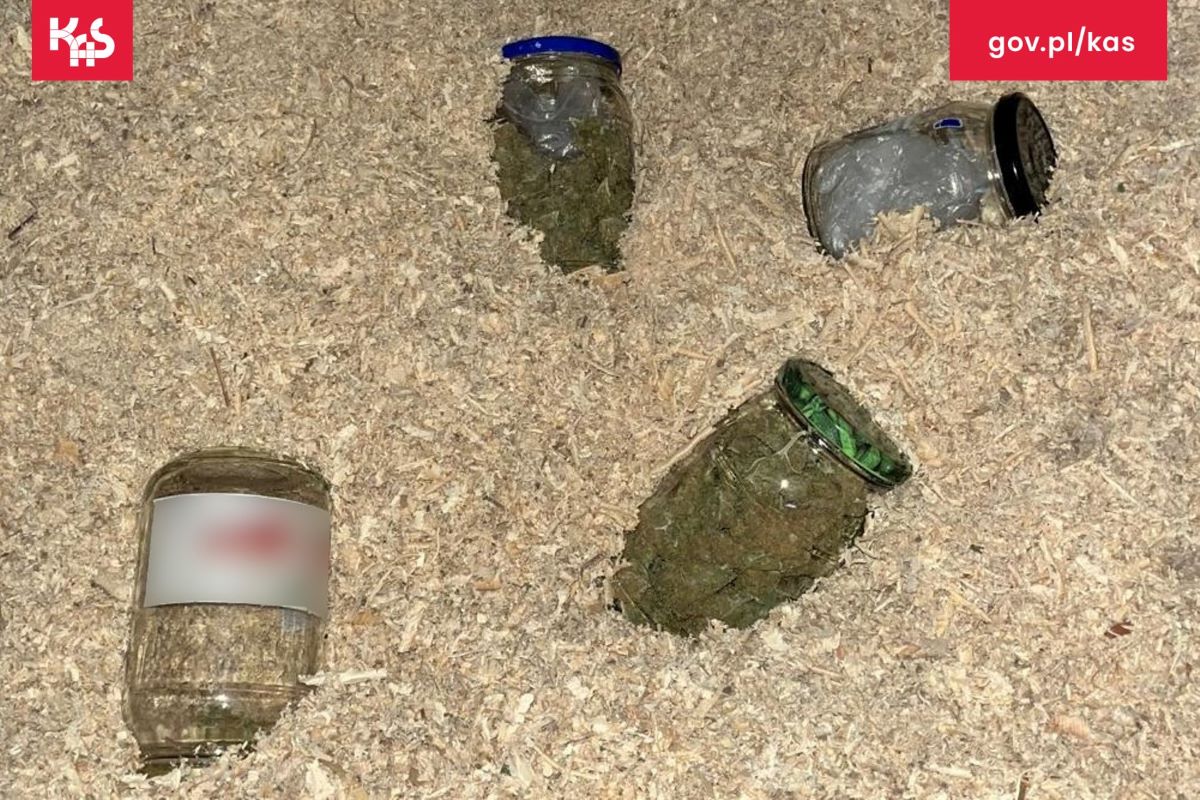 Źródło: KAS Olsztyn