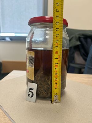 zabezpieczone środki zawierające THC