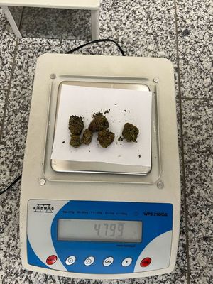 zabezpieczone środki zawierające THC