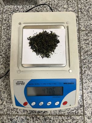 zabezpieczone środki zawierające THC