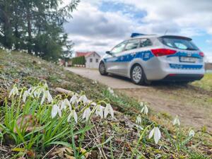 Kwiatek i policyjny radiowóz