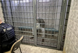 Zatrzymany mężczyzna za kratami