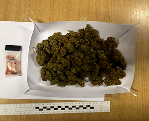 Zabezpieczony susz roślinny