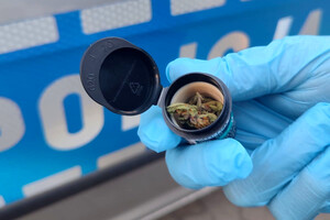 Fragment radiowozu i susz roślinny