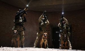 trzech policjantów stoi na górce, obok nich stoją psy policyjne