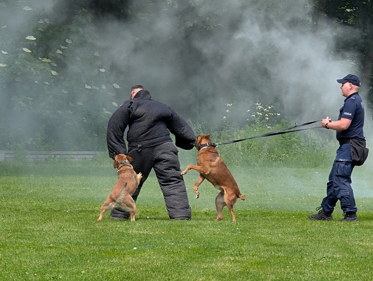 Policjanci na festynie „TatoRugbyLato”