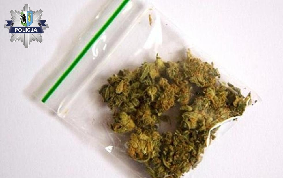 Narkotyki zabezpieczone