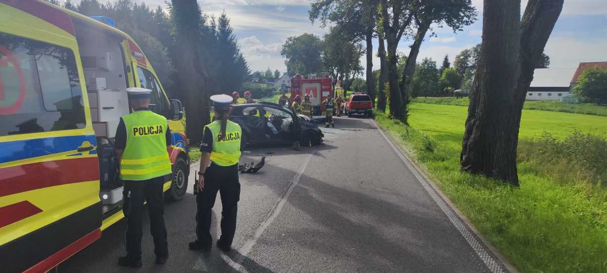 Służby na miejscu wypadku drogowego