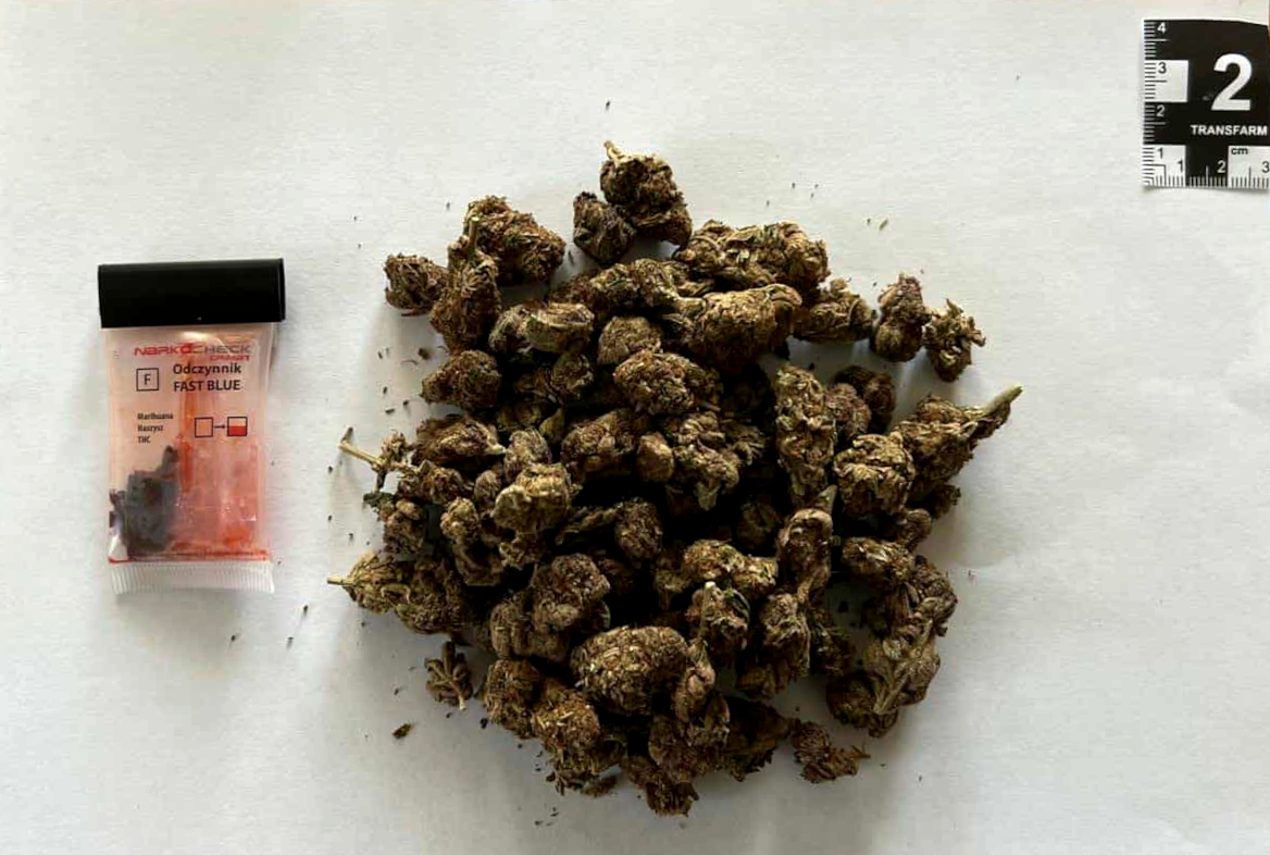 Zabezpieczone narkotyki