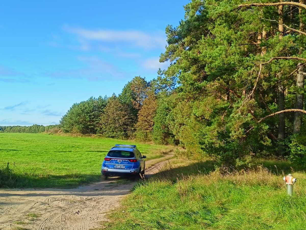 Poszukiwania 83-letniej grzybiarki