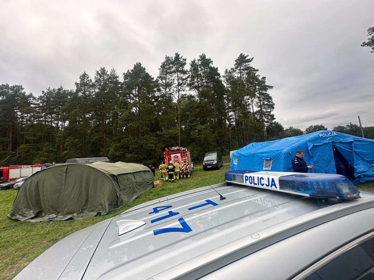 Poszukiwania 83-letniej grzybiarki