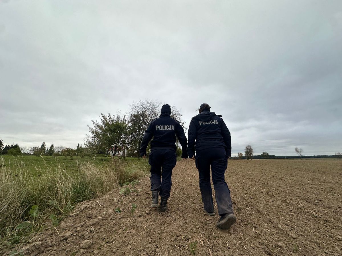 Poszukiwania 83-letniej grzybiarki