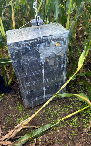 Zabezpieczony balon z ładunkiem papierosów