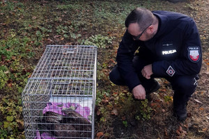 Ptak zabezpieczony w klatce i obok policjant