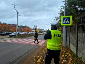 Policjant przed przejściem dla pieszych