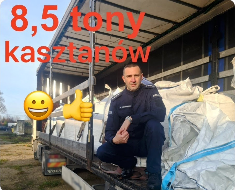 Dzielnicowy zebrał 8,5 tony kasztanów w szczytnym celu