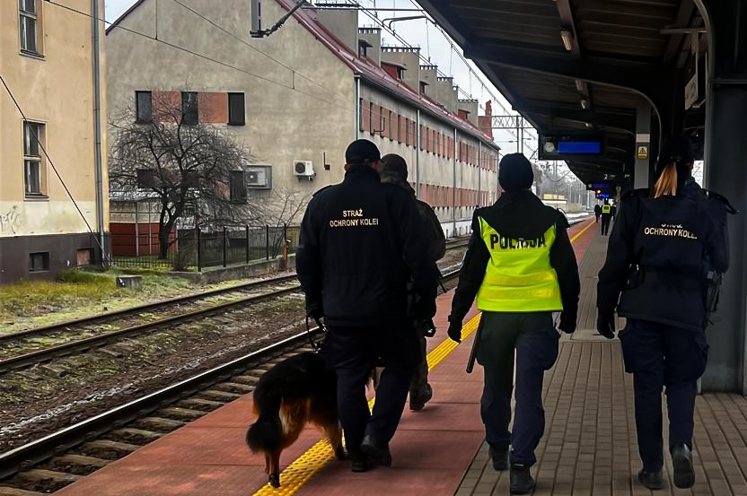 Działania służb w ramach operacji "TOR"