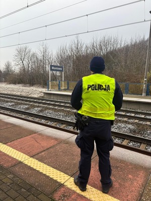 Działania służb w ramach operacji "TOR"