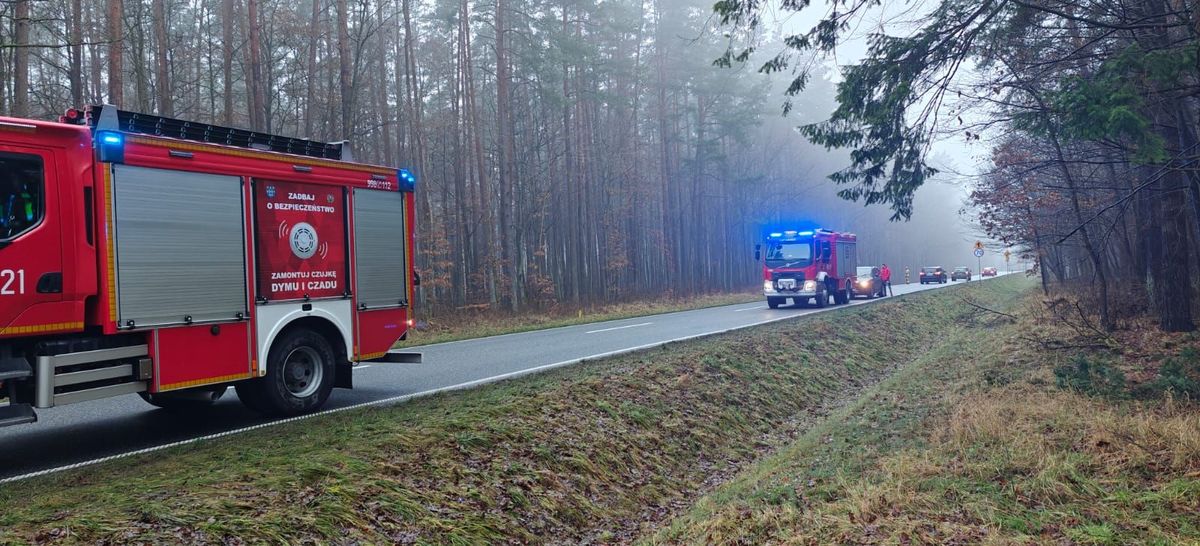 Miejsce zdarzenia drogowego