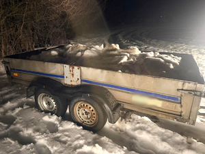 Na zdjęciu znajduje się przyczepka samochodowa.