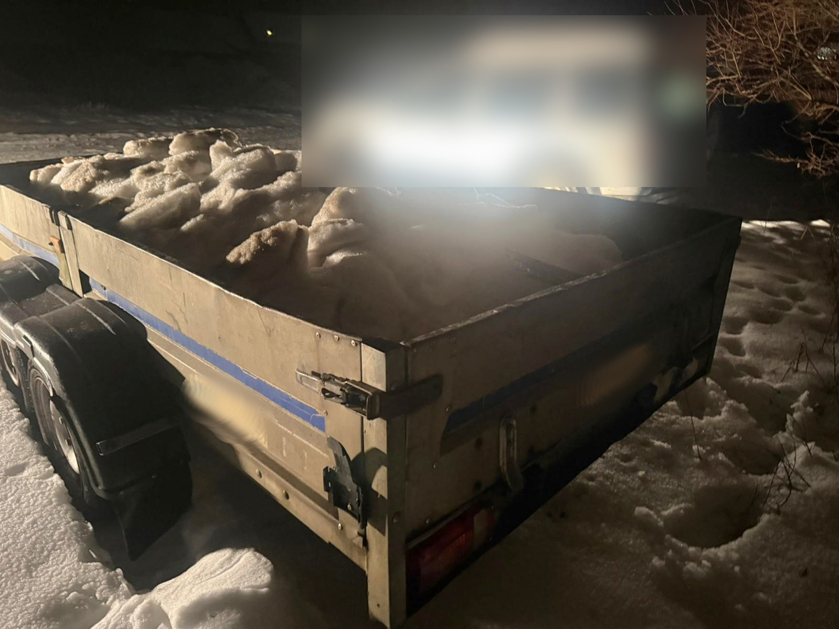 Na zdjęciu znajduje się przyczepka samochodowa.